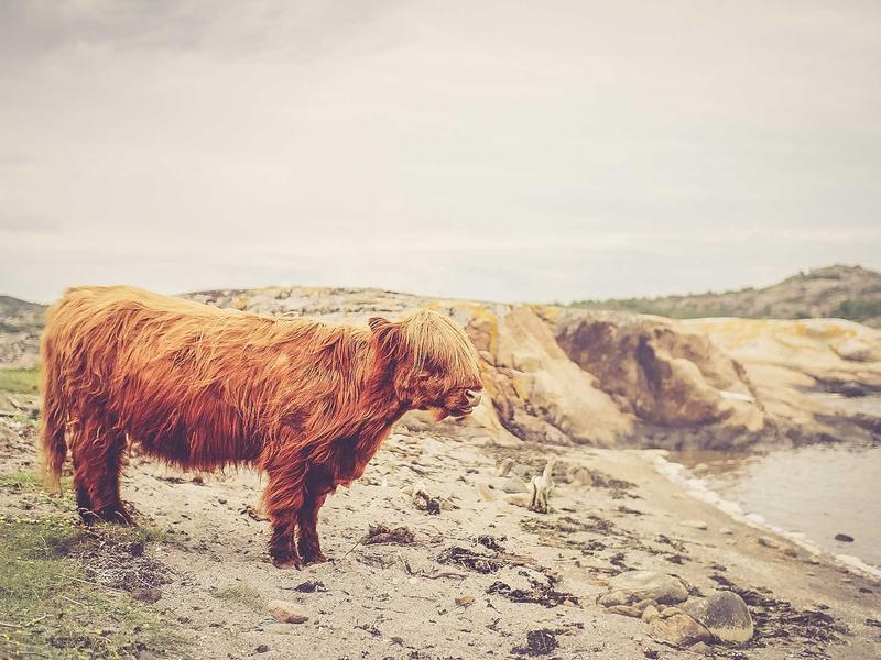 EzvynKasaaVyn Santo Domingo